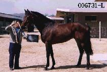 �̷����� (MI REO BU CHYEO) ����