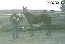 ��ź�� (JAE TAN SAENG) ����