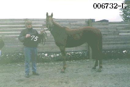 ��ź�� ����