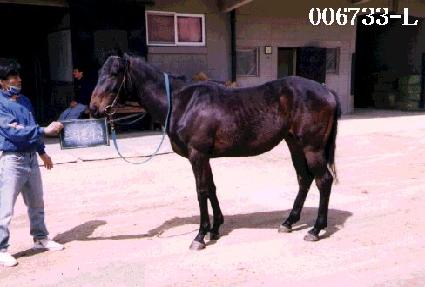 Ʈ���ó��� ����