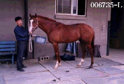 ���񸮾� ����