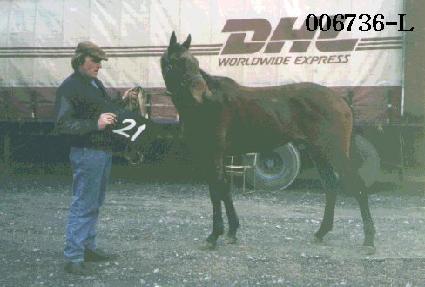 ���ϻ� ����