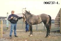 ���Ϻ��� (DENNY BOY) ����