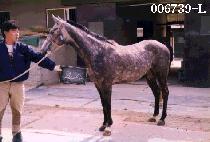 �Ѽ� (CHONG SU) ����