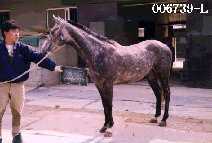 �Ѽ� ����