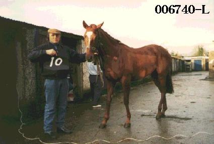 ���ƹ� ����