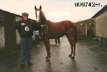 ���� (OK DANG) ����