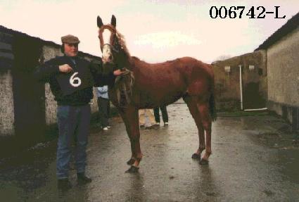 ���� ����