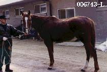 ��� (DAE GWON) ����