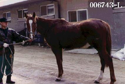 ��� ����