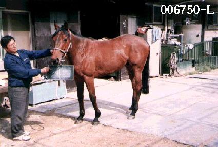 ���� ����