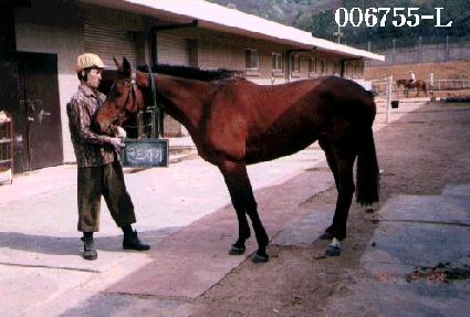 �����Ű ����