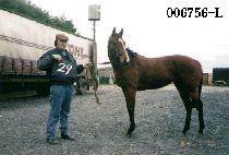 Ʃ������ (TUDOR LINE) ����