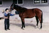 �پ�� (DDUI EO RA) ����