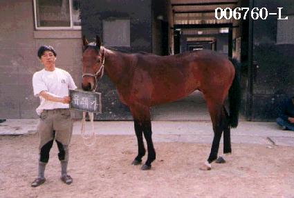 ����ī ����