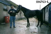 ���õ (DAE YONG CHEON) ����