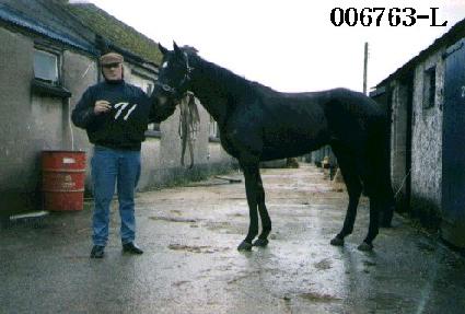 ���õ ����