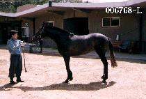 �뿵�� (DAE YEONG WOONG) ����