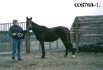 Ʈ������ (TRUE WINNER) ����