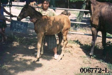 �ҷ�����ڸ� ����