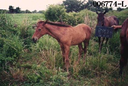 ��������� ����