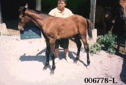 ����� ����