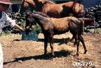 ������ (YEONGEUIJEONG) ����