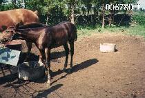 ��������̾� ����