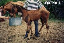 ��õ�� ����