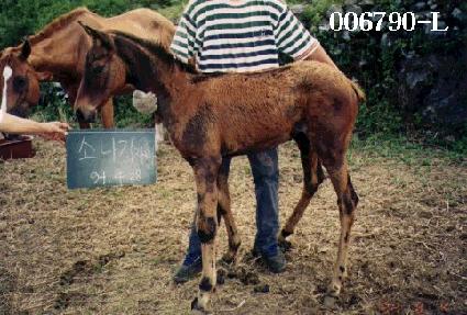 ��õ�� ����