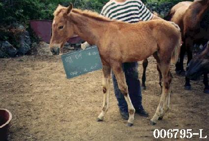 �����ڸ� ����