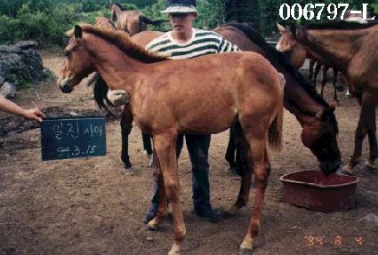 �����ڸ� ����