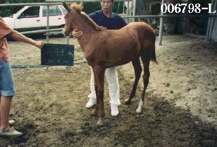 �ھ� ����