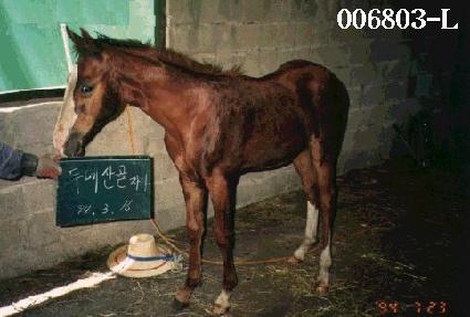 ����ǳ ����