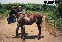 �ڿ� ����