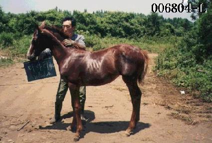 �ڿ� ����