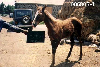 �����ڸ� ����