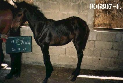 �����ӱ� ����