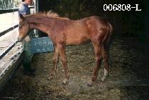 �ݺ����� (KEUMBITT��UGU) ����