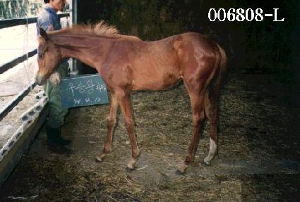 �ݺ����� ����