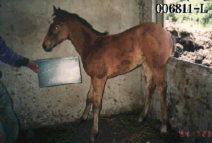 ���� ����