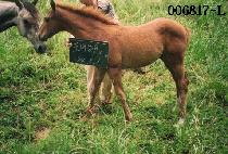 ��Ÿ� (CHANGGEORI) ����