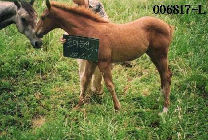 ��Ÿ� ����