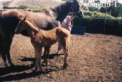 �̷�� ����