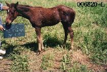 �򱸸��ڸ� ����