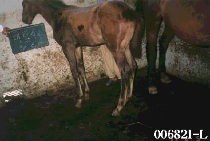 ����ְ� ����