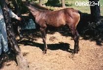 ī�ν� ����