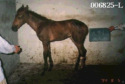 ���ܳ��ڸ� ����