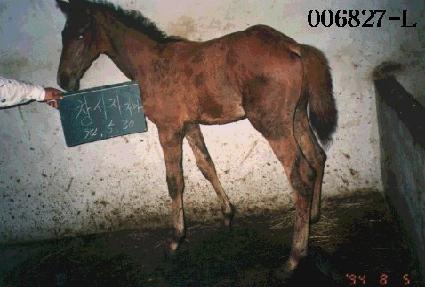 â�����ڸ� ����