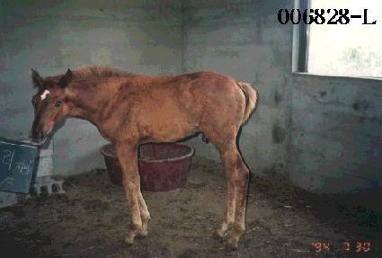 ���ٱ� ����